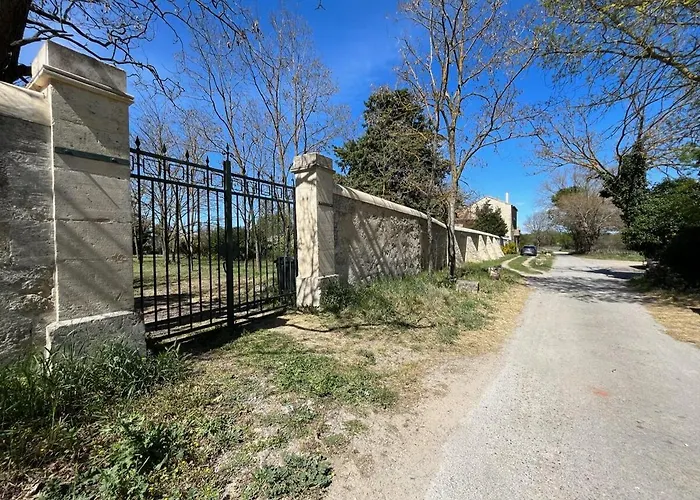 Dans Un Domaine Viticole, Entre Montpellier Et Sete, Proche De La Saussan
